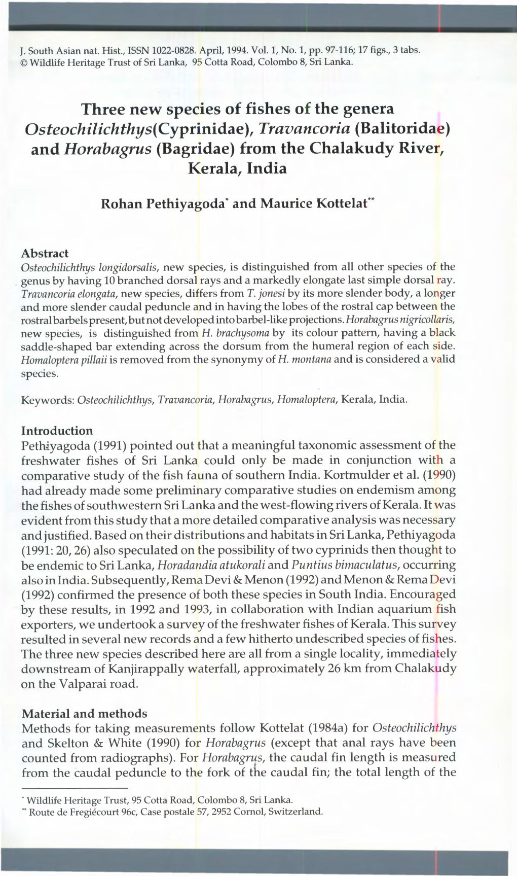 Three New Species of Fishes of the Genera Osteochilichthys(Cyprinidae), Travancoria (Balitoridae) and Horabagrus (Bagridae) from the Chalakudy River, Kerala, India