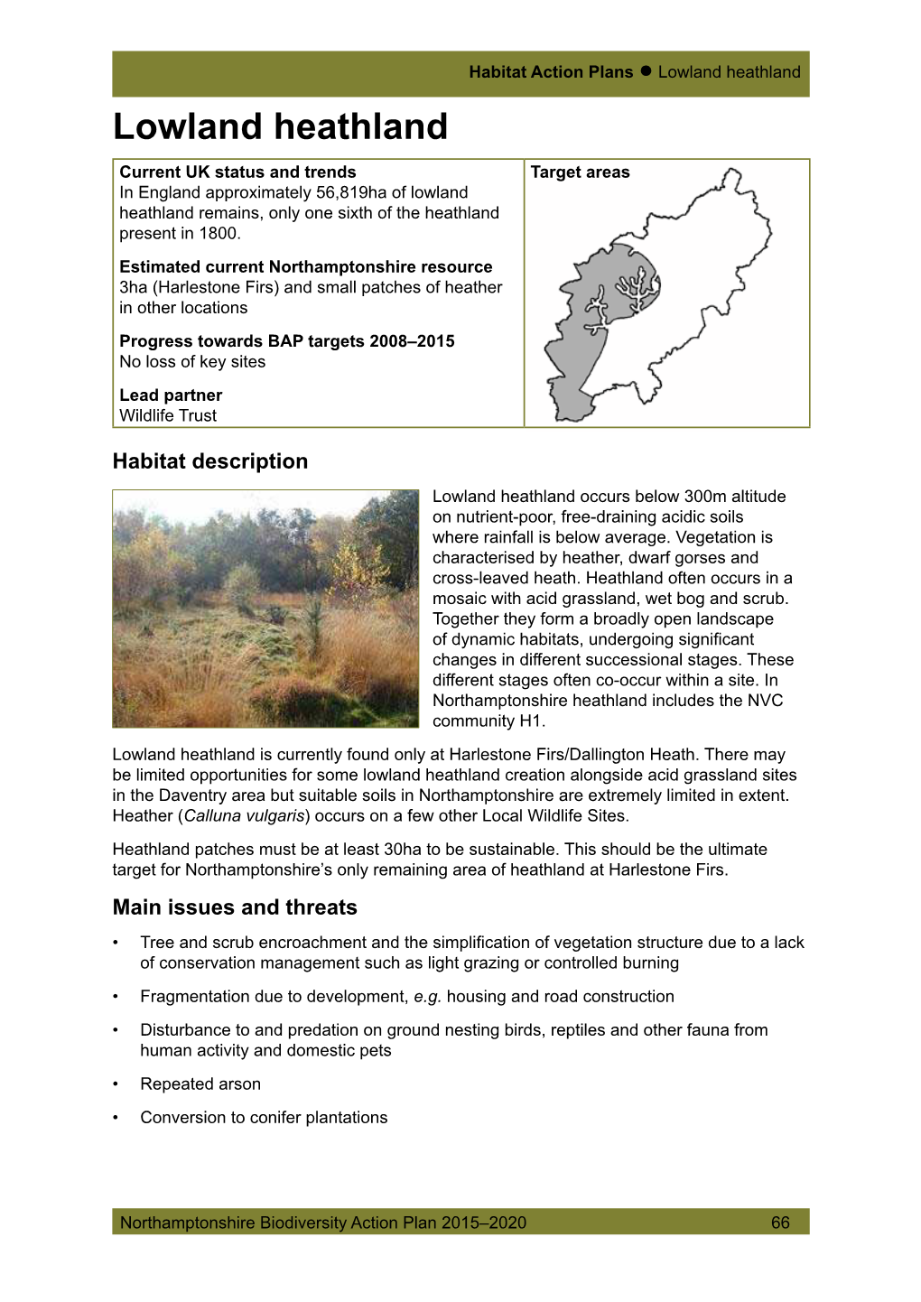 Lowland Heathland