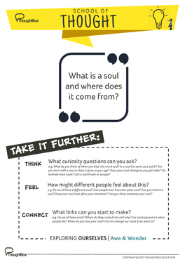 What Is a Soul and Where Does It Come From?