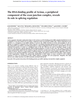 The RNA-Binding Profile of Acinus, a Peripheral Component of the Exon Junction Complex, Reveals Its Role in Splicing Regulation