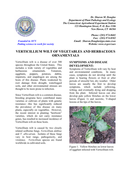 Verticillium Wilt of Vegetables and Herbaceous Ornamentals