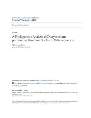 A Phylogenetic Analysis of Dictyostelium Purpureum Based on Nuclear Rdna Sequences Mahmoud Suliman University of Arkansas, Fayetteville