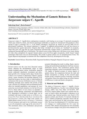 Understanding the Mechanism of Gamete Release in Sargassum Vulgare C