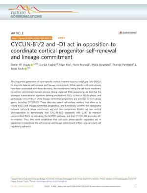 CYCLIN-B1/2 and -D1 Act in Opposition to Coordinate Cortical Progenitor Self-Renewal and Lineage Commitment ✉ Daniel W