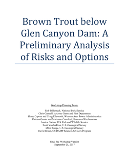 Brown Trout Below Glen Canyon Dam: a Preliminary Analysis of Risks and Options