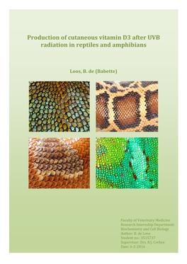 Production of Cutaneous Vitamin D3 After UVB Radiation in Reptiles and Amphibians