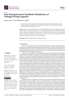 Iron Transport Across Symbiotic Membranes of Nitrogen-Fixing Legumes