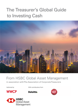 The Treasurer's Global Guide to Investing Cash