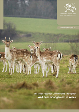 Wild Deer Management in Wales Wild Deer Management in Wales