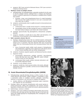 IV. Acute Disseminated Encephalomyelitis (ADEM)