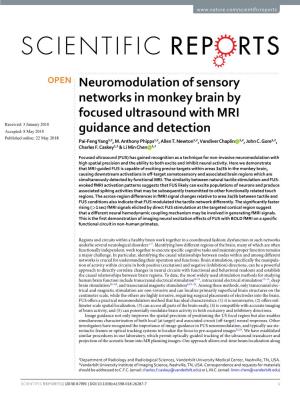 Neuromodulation of Sensory Networks in Monkey Brain by Focused