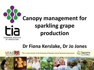Canopy Management for Sparkling Grape Production