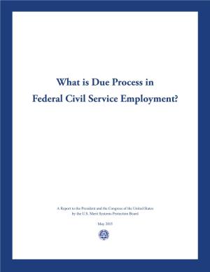 What Is Due Process in the Federal Civil Service Employment?