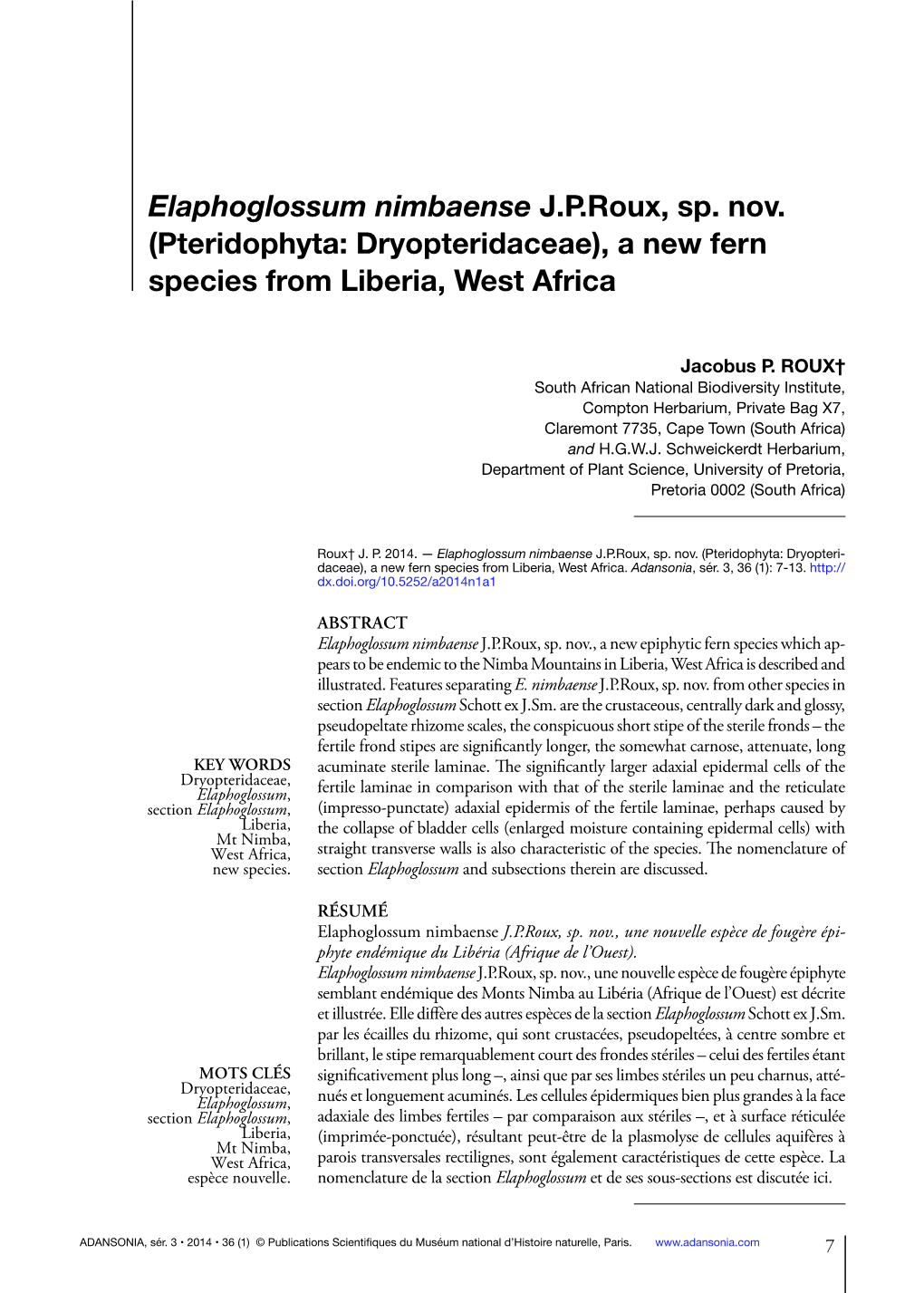 Elaphoglossum Nimbaense J.P.Roux, Sp. Nov. (Pteridophyta: Dryopteridaceae), a New Fern Species from Liberia, West Africa