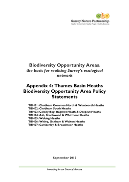 Appendix 4: Thames Basin Heaths Biodiversity Opportunity Area Policy Statements