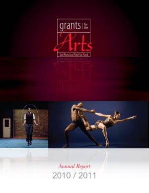 Annual Report 2010 / 2011