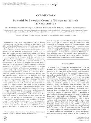 Potential for Biological Control of Phragmites Australis in North America