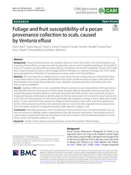 Foliage and Fruit Susceptibility of a Pecan Provenance Collection to Scab, Caused by Venturia Efusa Clive H