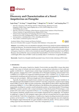 Discovery and Characterization of a Novel Ampelovirus on Firespike