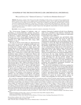 Synopsis of the Trichocentrum-Clade (Orchidaceae, Oncidiinae)