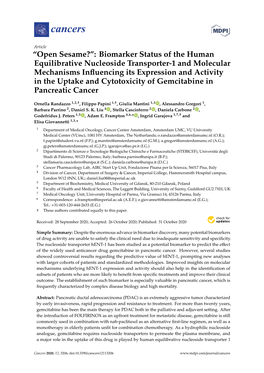 Biomarker Status of the Human Equilibrative Nucleoside