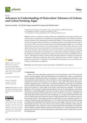 Advances in Understanding of Desiccation Tolerance of Lichens and Lichen-Forming Algae