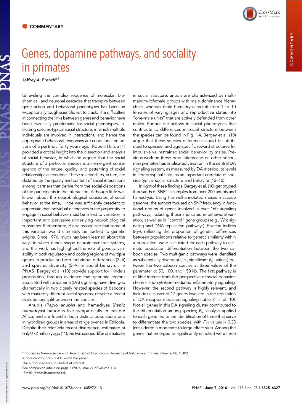 Genes, Dopamine Pathways, and Sociality in Primates