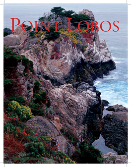 Volume 32 * Number 1 Spring * 2009 Point Lobos Association Route 1 Box 62, Carmel, CA 93923 831-625-1470
