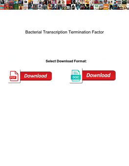 Bacterial Transcription Termination Factor