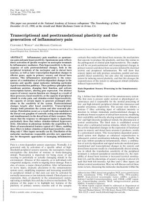 Transcriptional and Posttranslational Plasticity and the Generation of Inflammatory Pain