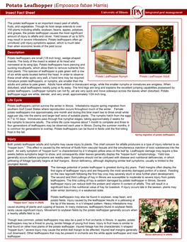 Potato Leafhopper (Empoasca Fabae Harris) Insect Fact Sheet University of Illinois Integrated Pest Management