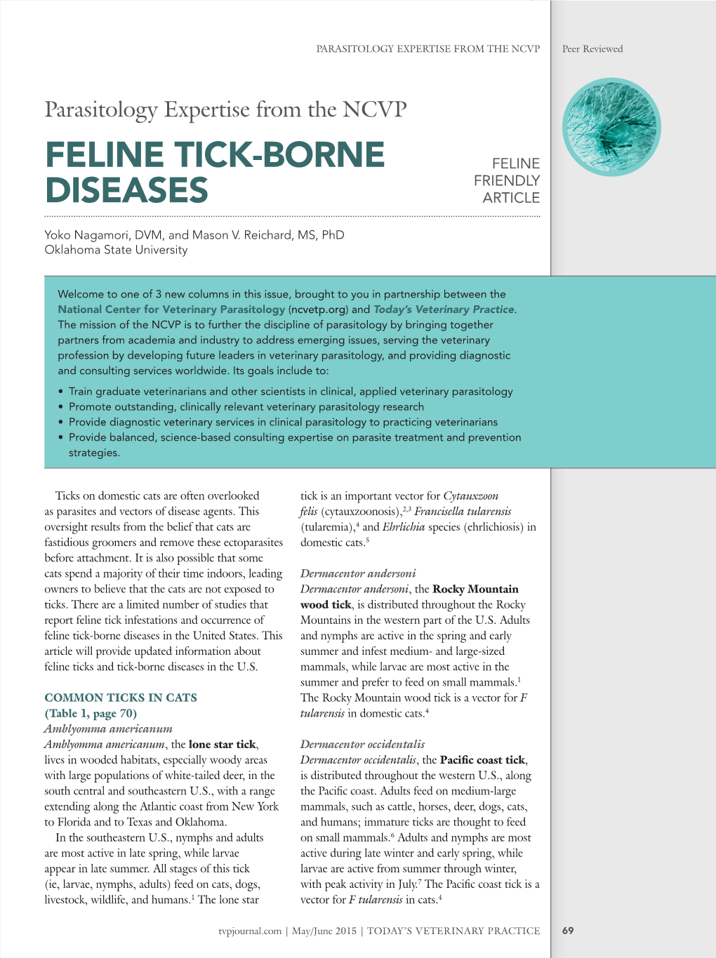 Feline Tick-Borne Diseases in the United States