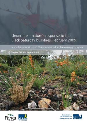 Nature's Response to the Black Saturday Bushfires, February 2009
