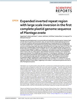Expanded Inverted Repeat Region with Large Scale