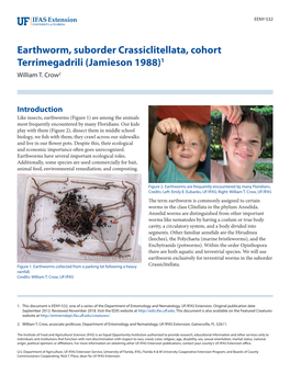 Earthworm, Suborder Crassiclitellata, Cohort Terrimegadrili (Jamieson 1988)1 William T