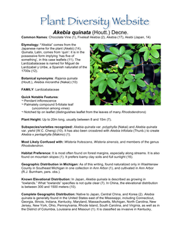 Akebia Quinata (Houtt.) Decne. Common Names: Chocolate Vine (1), Fiveleaf Akebia (2), Akebia (17), Akebi (Japan, 14)