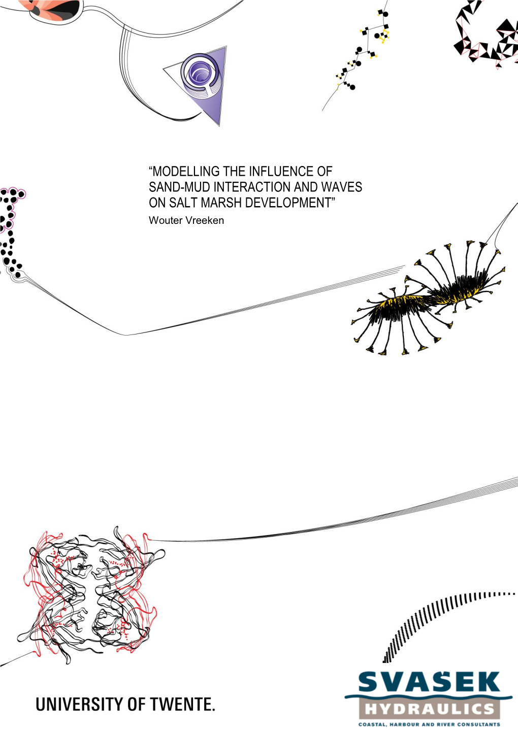 MODELLING the INFLUENCE of SAND-MUD INTERACTION and WAVES on SALT MARSH DEVELOPMENT” Wouter Vreeken