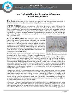 How Is Diminishing Arctic Sea Ice Influencing Marine Ecosystems?