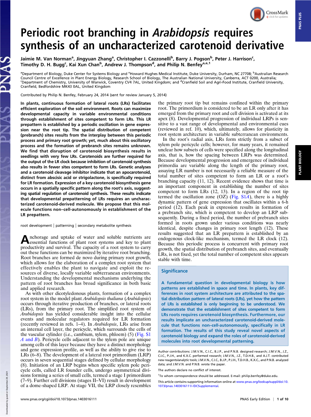 Periodic Root Branching in Arabidopsis Requires Synthesis of An