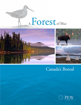 A Forest of Blue: Canada's Boreal