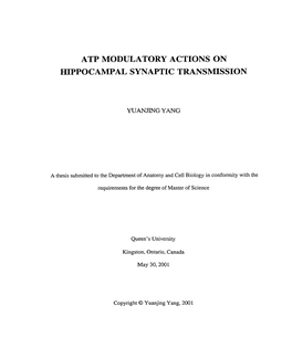 Atp Modulatory Actions on Hippocampal Synaptic Transmission