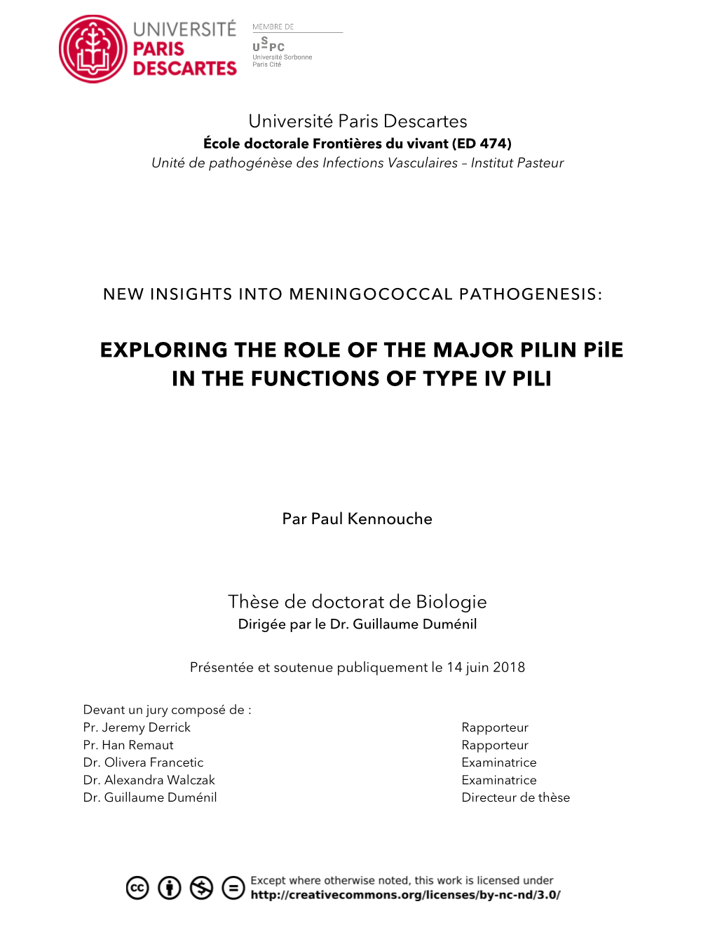 EXPLORING the ROLE of the MAJOR PILIN Pile in the FUNCTIONS of TYPE IV PILI