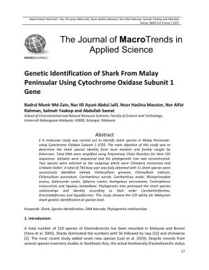 Genetic Identification of Shark from Malay Peninsular Using Cytochrome Oxidase Subunit 1 Gene