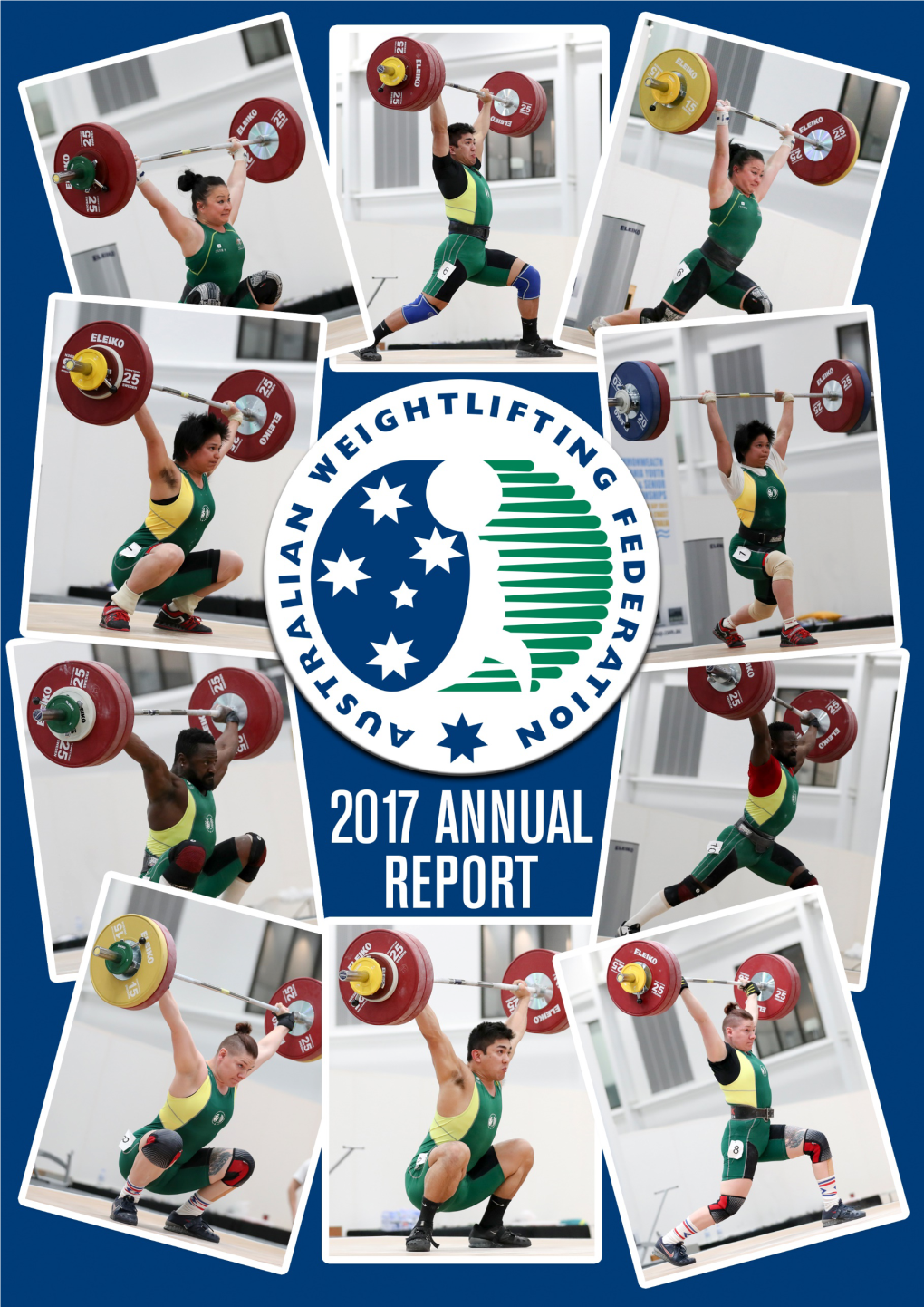 2017 Annual Report