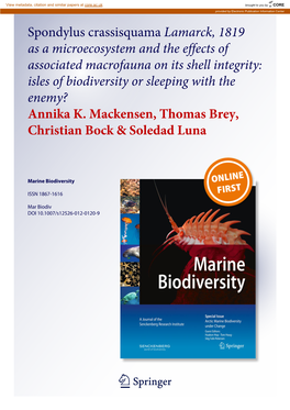 Spondylus Crassisquama Lamarck, 1819 As a Microecosystem and the Effects of Associated Macrofauna on Its Shell Integrity