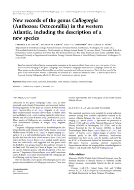 New Records of the Genus Callogorgia (Anthozoa: Octocorallia) in the Western Atlantic, Including the Description of a New Species Frederick M