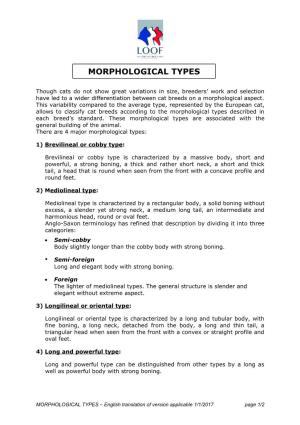 Morphological Types