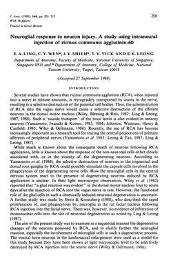 Neuroglial Response to Neuron Injury. a Study Using Intraneural Injection of Ricinus Communis Agglutinin-60