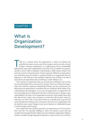 What Is Organization Development?