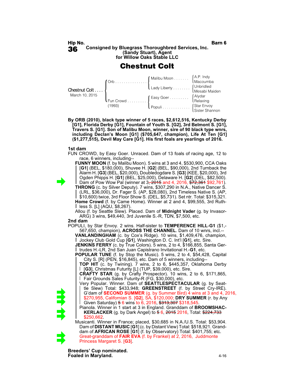 36 (Sandy Stuart), Agent for Willow Oaks Stable LLC Chestnut Colt